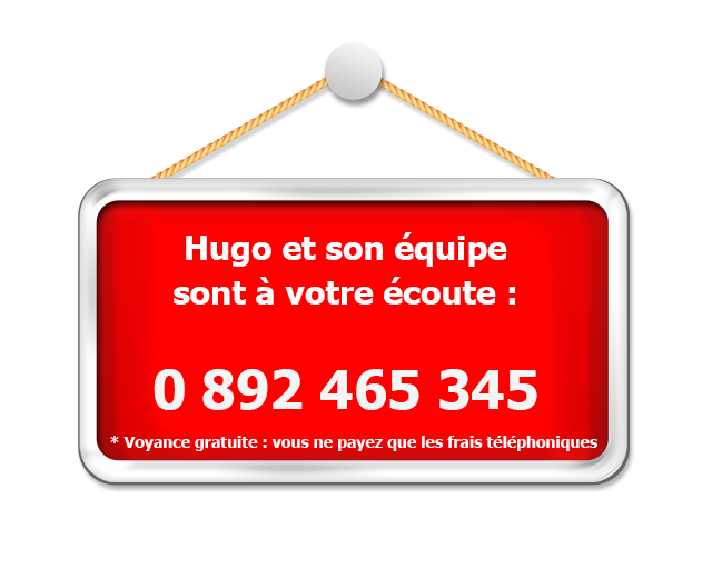 Audiotel Hugo
